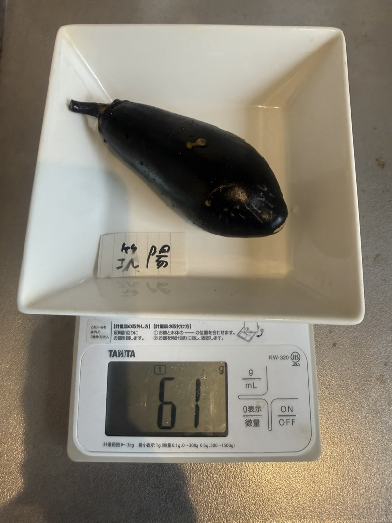 初収穫の茄子をキッチンスケールで計量